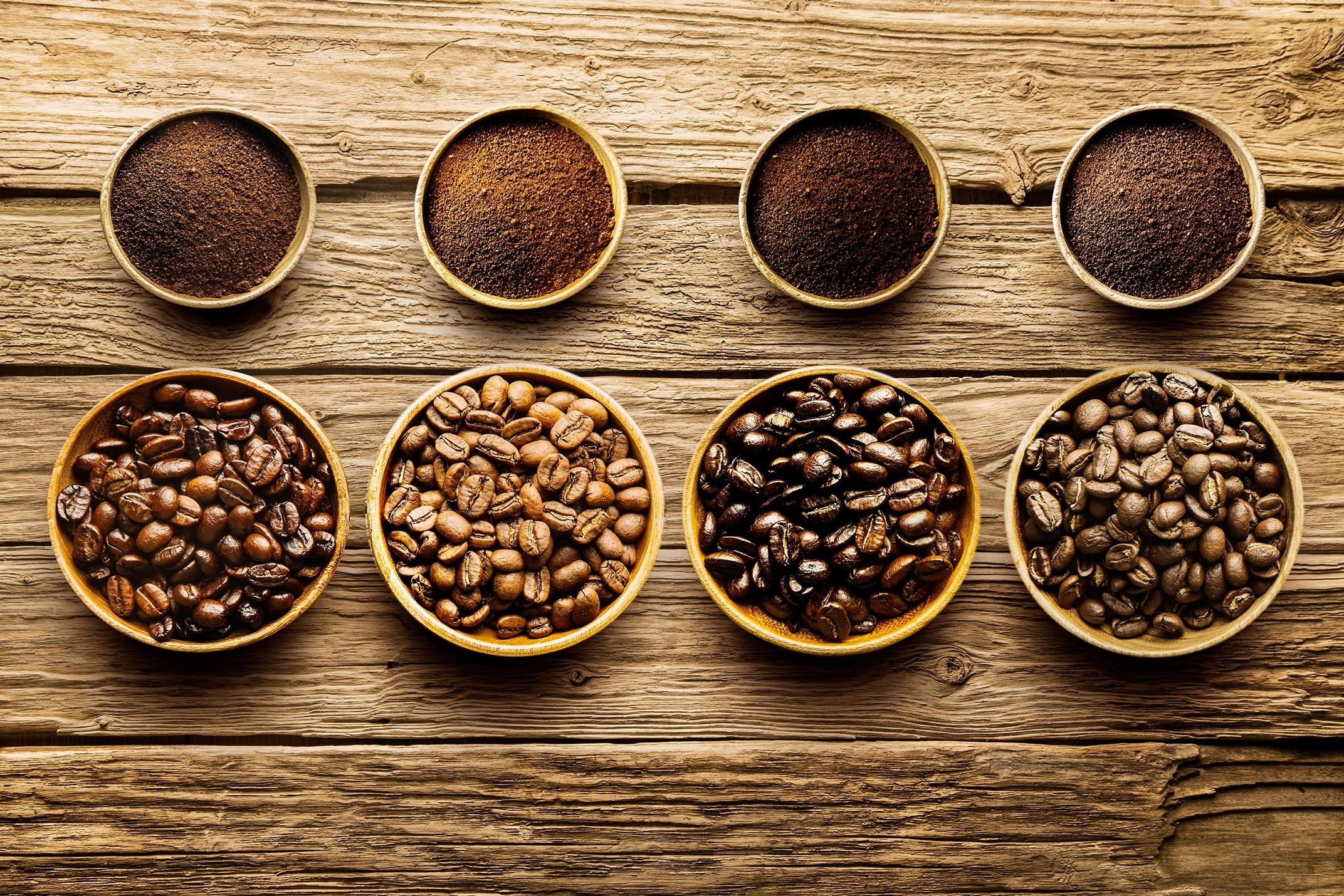 Resultado de imagem para coffee beans different color